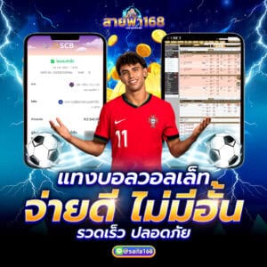 แทงบอลวอเลท